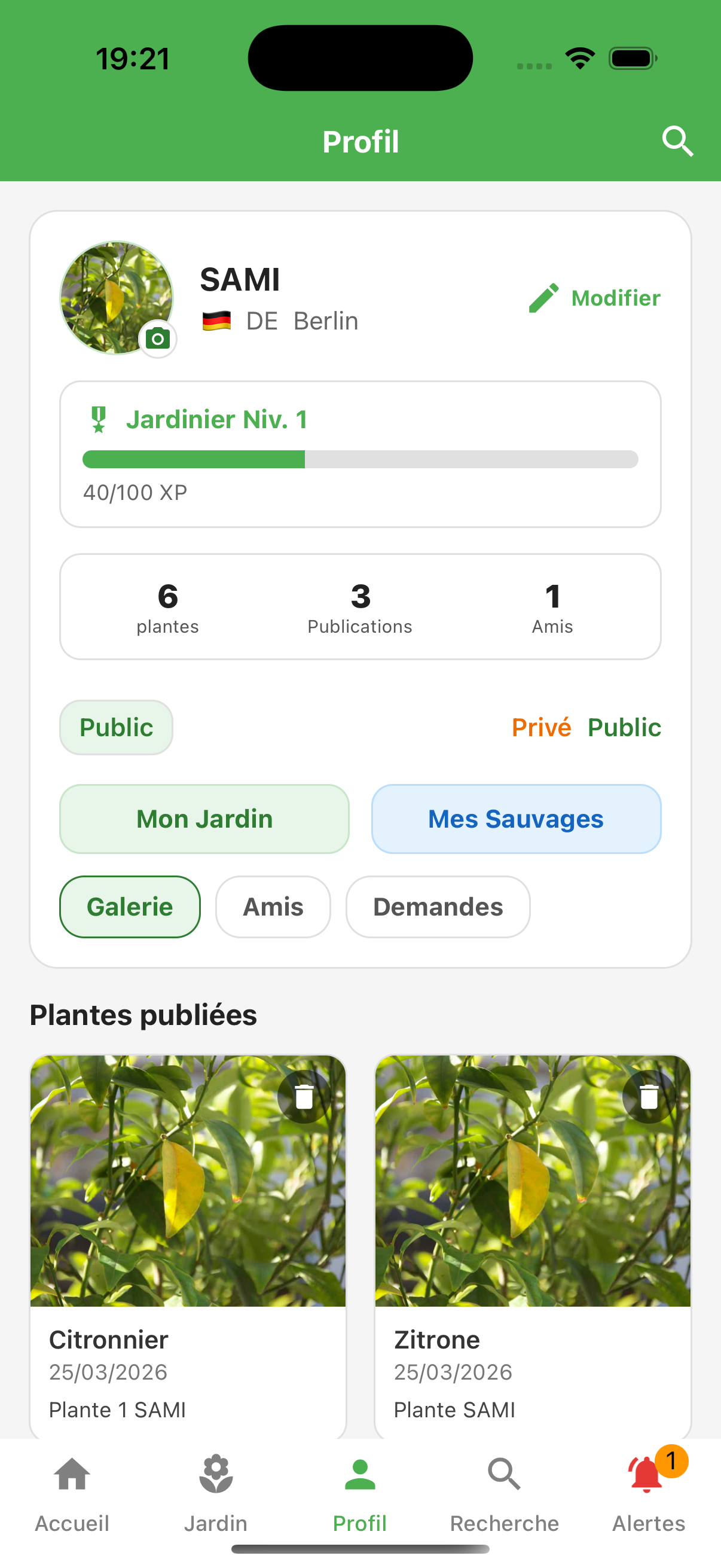Fiche Plante